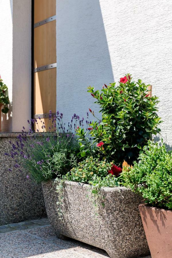 Rozna Dolina Apartment Ljubljana Extérieur photo